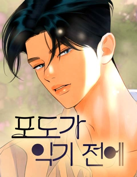 0e35ae26fd2d6a35eda6484d3b740c4cda1e27b1_480_623_73196